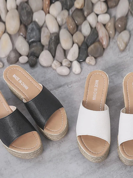 0258aa79-3691-48b7-a6d9-452edeaafb3a-Max