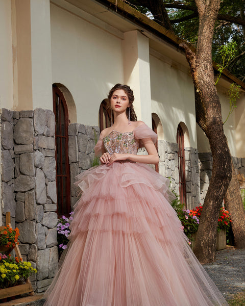 Blush Tulle Reverie Gown