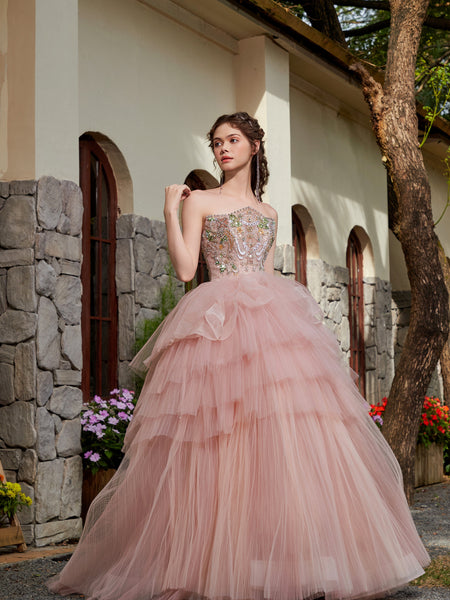 Blush Tulle Reverie Gown