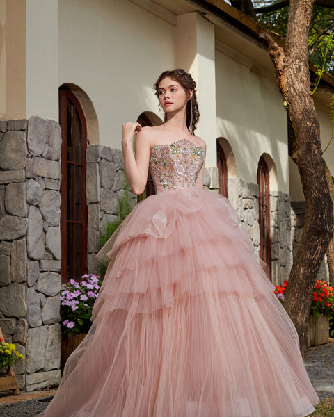 Blush Tulle Reverie Gown