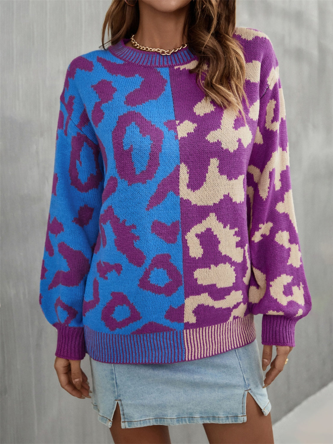 Darcy Delacroix — Angel Wings Leopard Round Neck Long Sleeve Sweater, alternate view 7