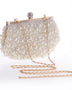 Handcrafted Beaded Embroidered Featured Evening Bag