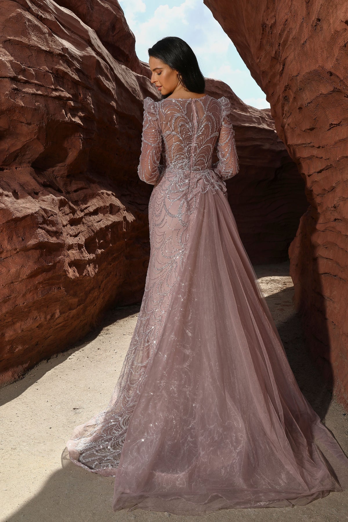 Evening Gown: Style 22101