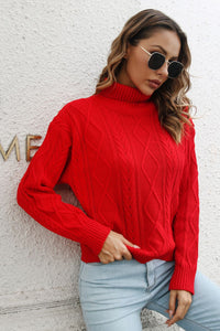Ciel Valmont — Turtleneck Long Sleeve Sweater