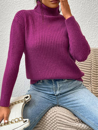 Ocean Valmont — Ribbed Turtle Neck Long Sleeve Sweater