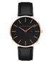 Alfred Sung Metropolitan Date Black Dial Black Leather Strap watch