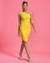 Chic One-Shoulder Ruched Mesh Evening Dress - Opulent Empire