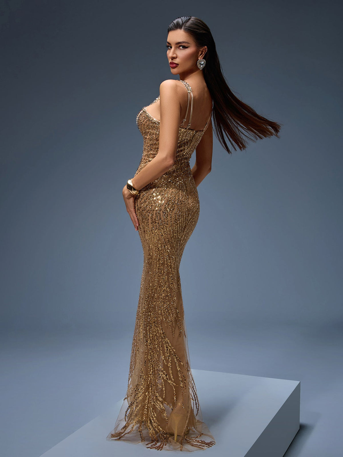 Guinevere Montclair — Elegant Heavy Crystal-Embroidered Evening Gown for Formal Occasions, alternate view 3