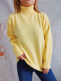 Winter Delacroix — Turtleneck Long Sleeve Sweater