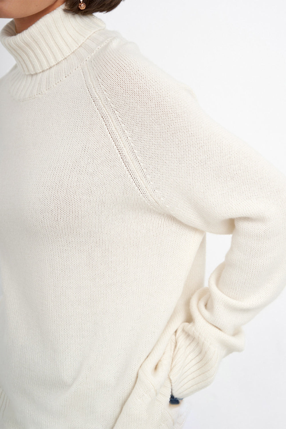 Indigo Moreau — Turtle Neck Raglan Sleeve Sweater, alternate view 14