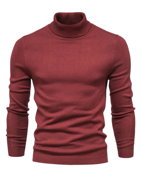 Turtleneck Men's Pullover Sweater Casual Knitwear